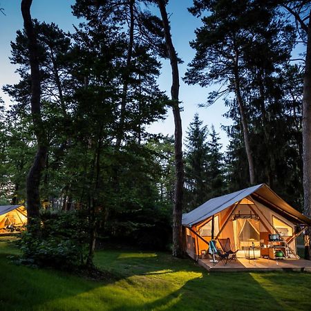 Camping La Pinede Hotell Excénevex Exteriör bild